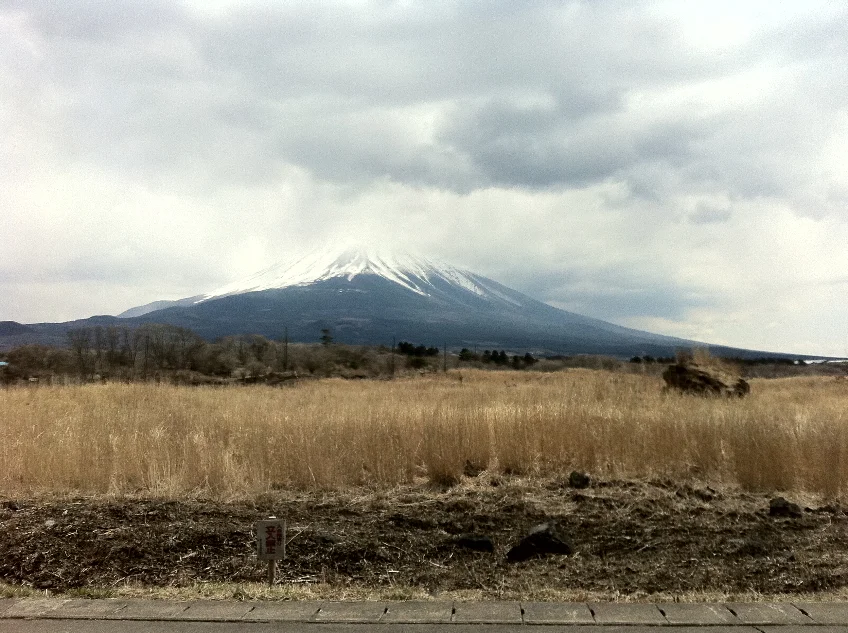 Mount Fuji rising beyond winter grass at Fujinomiya